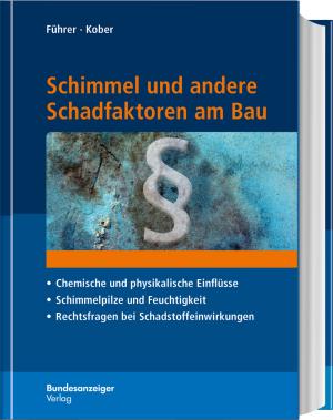 Schimmel und andere Schadfaktoren 